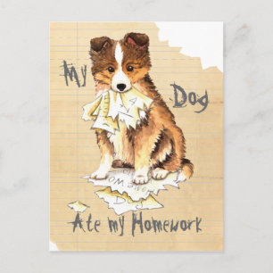 Min Sheltie Ate min hemläxa Vykort