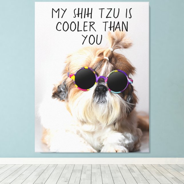 Min Shih Tzu är coolare än dina solglasögon Foto Canvastryck (Insitu (trägolv))
