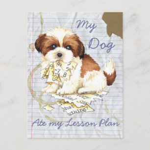 Min Shih Tzu Ate min Lesson Plan Vykort