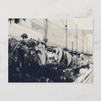 Min Singapore: Heartlands Series #6 Vykort