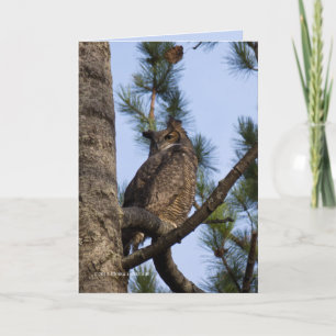 Min skogsgranne kort