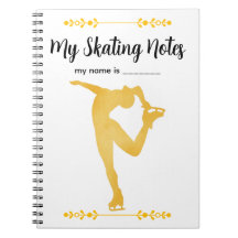 Min skridskoanteckningsbok