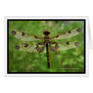 "Min Söt Vingar" - Dragonfly Hälsningskort