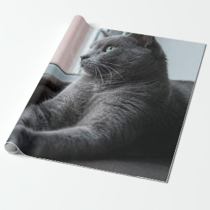 MIN SÖTEART ROUTER RESCUTEN KITTEN PRESENTPAPPER