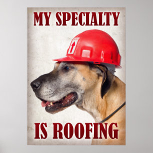 Min specialitet är tak poster