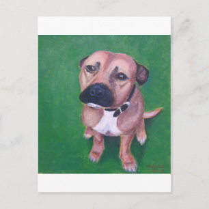 Min staffy 2012 vykort