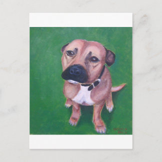 Min staffy 2012 vykort