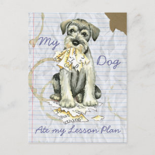Min Standard Schnauzer Ate My Lesson Plan Vykort