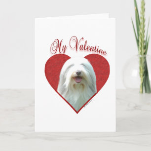 Min strandade kollie Valentine Helgkort