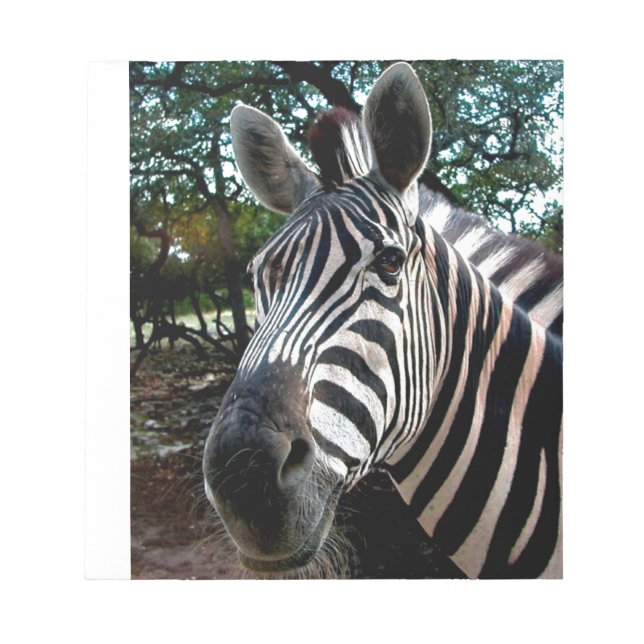 Min Strippy Friend Anteckningsblock (Framsida)