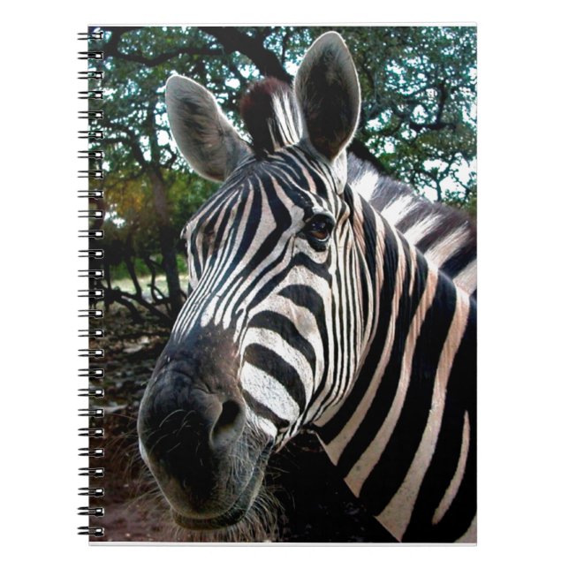 Min Strippy Friend Anteckningsbok Med Spiral (Framsidan)