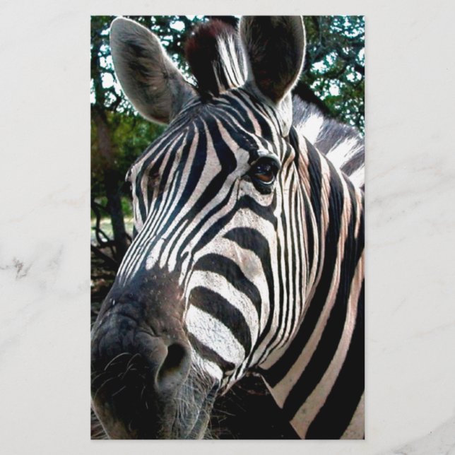 Min Strippy Friend Brevpapper (Framsida)