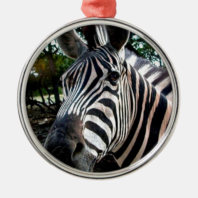 Min Strippy Friend Julgransprydnad Metall (Framsidan)