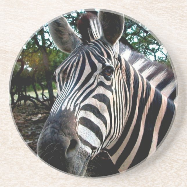 Min Strippy Friend Underlägg Sandsten (Framsidan)