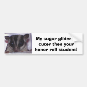 Min sugar glider är sötare ä... bildekal