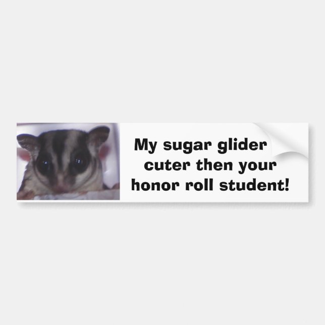 Min sugar glider är sötare ä... bildekal (Framsidan)
