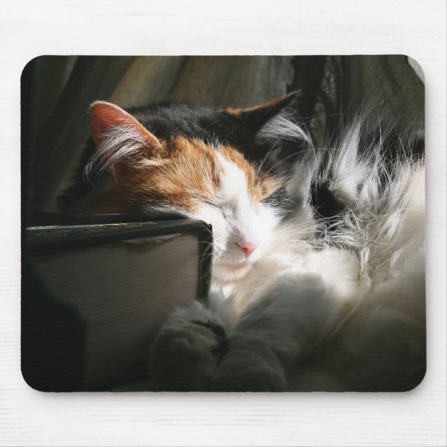 Min sunbeam musmatta (Framsidan)