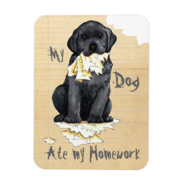 Min Svart lab Ate Min hemläxa Magnet