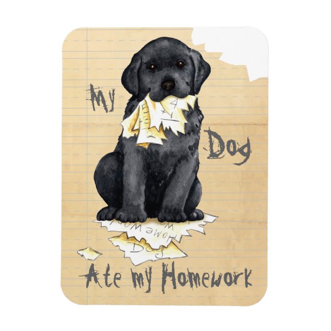 Min Svart lab Ate Min hemläxa Magnet (Vertikal)