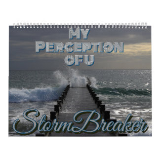 Min syn på vår kalender