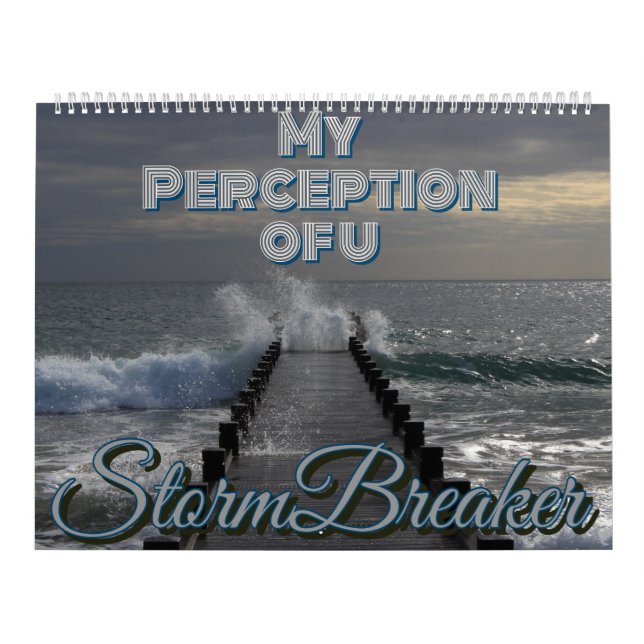 Min syn på vår kalender (Omslag)