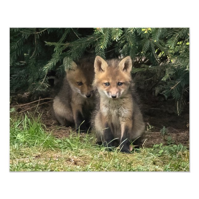 Min Syskon Fototryck (Framsidan)