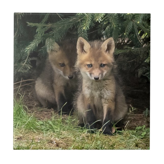 Min syskon kakelplatta (Framsidan)