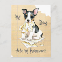 Min Teddy Roosevelt Terrier åt min läxa