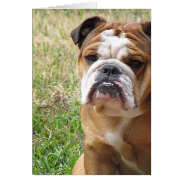 Min tjej hälsningskort (Framsidan)