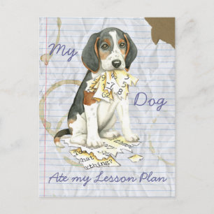 Min Treeing Walker Coonhound Ate Min Lesson Plan Vykort