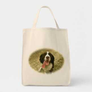 Min trogna Spaniel Tygkasse