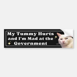 Min Tummy Ontr och jag är Mad på Government Funy Bildekal