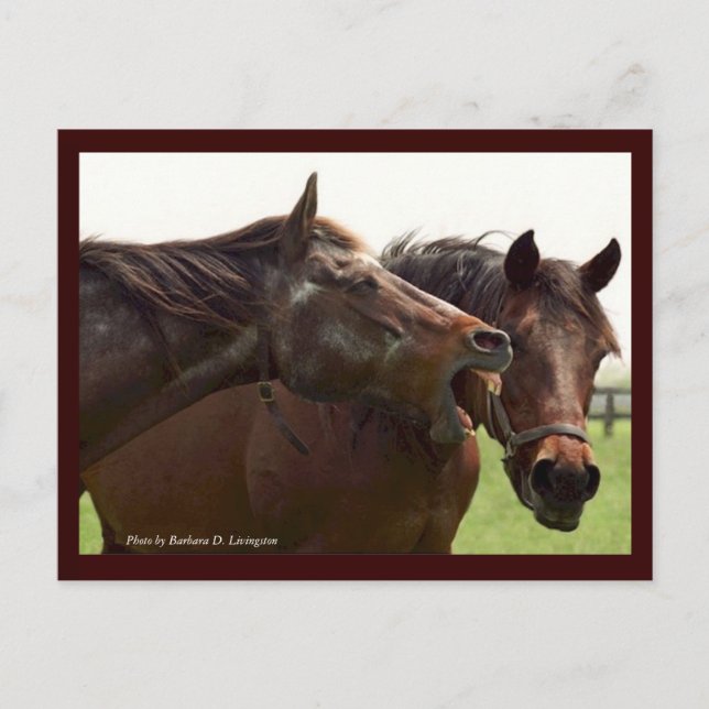 Min turbulenta fröken med Taba-vykort Vykort (Framsida)