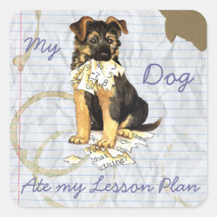 Min tyska shepherd Ate My Lesson Plan Fyrkantigt Klistermärke
