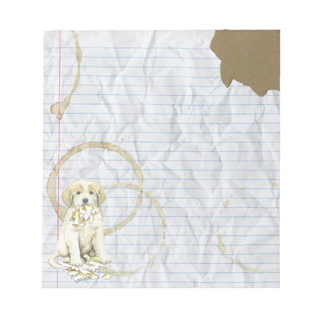 Min Underbara Pyrenéer har fått min lektionsplan Anteckningsblock (Framsida)