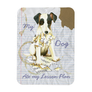 Min utjämnade Fox Terrier Ate Min lärlingsplan Magnet