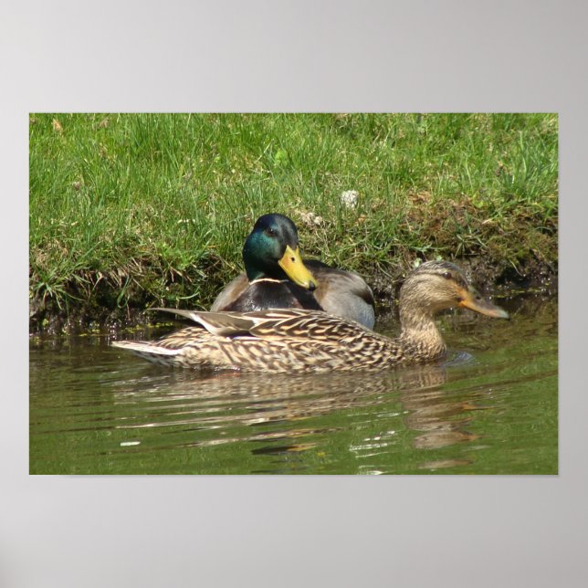 Min vackra flicka poster (Framsidan)