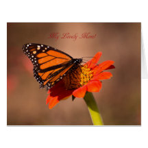 Min vackra Mamma, Monarch-fjäril