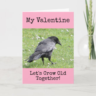 Min Valentine Låt oss Kråka Gamla tillsammans Helgkort
