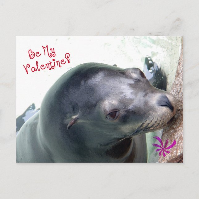 Min Valentine Seal Helg Vykort (Framsida)