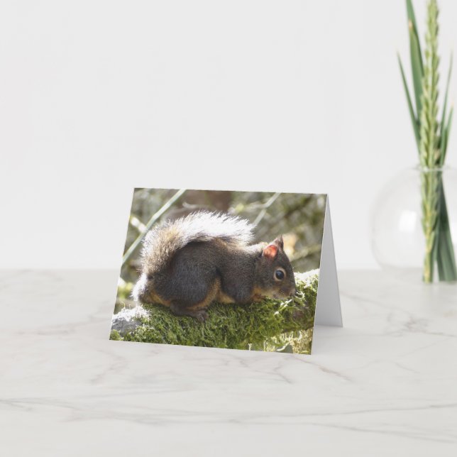 Min vän Fuzzy Kort (Framsida)
