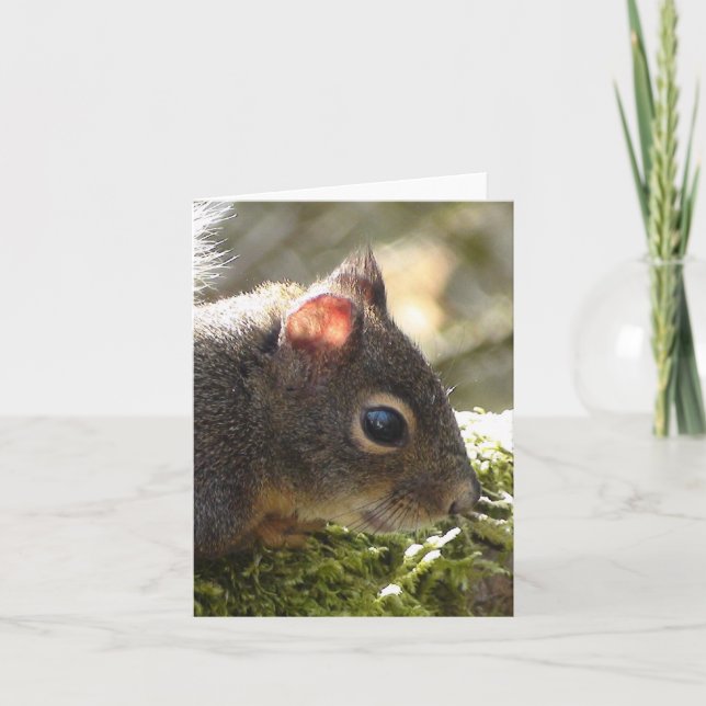 Min vän Fuzzy Kort (Framsida)