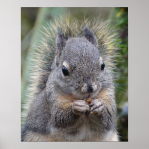 Min vän Fuzzy Poster