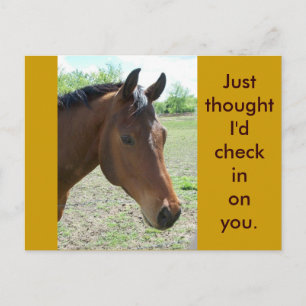 Min vän, Horse Vykort