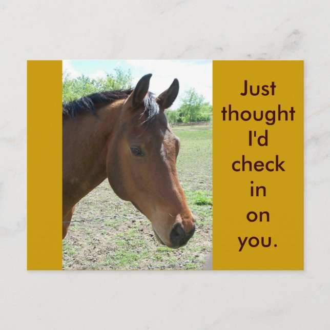 Min vän, Horse Vykort (Framsida)