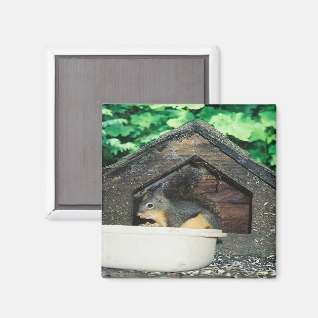 Min vän... magnet (Front/Back)