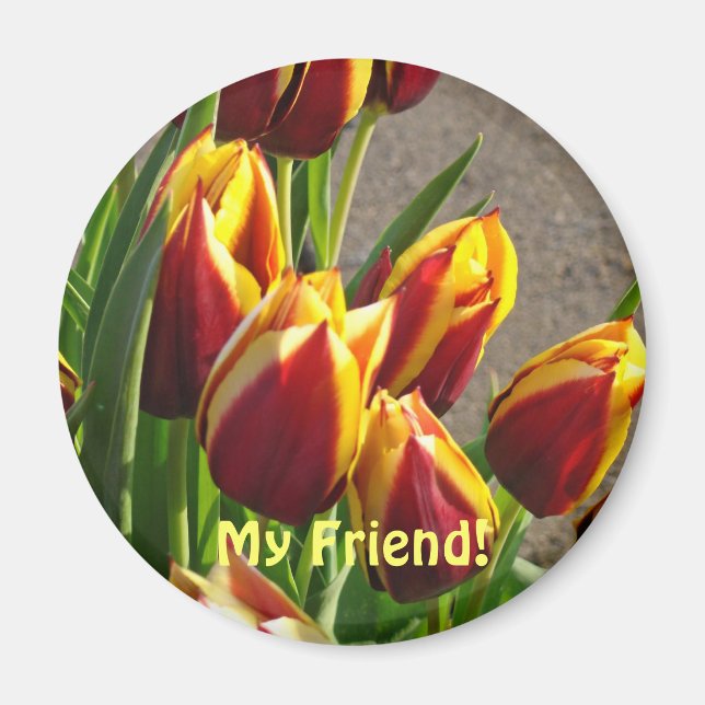Min vän! magnet Röd Gul Vår Tulpan Blommor (Framsidan)