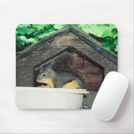 Min vän... musmatta
