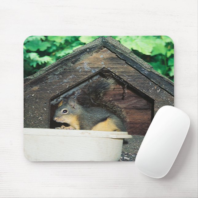 Min vän... musmatta (Med mus)