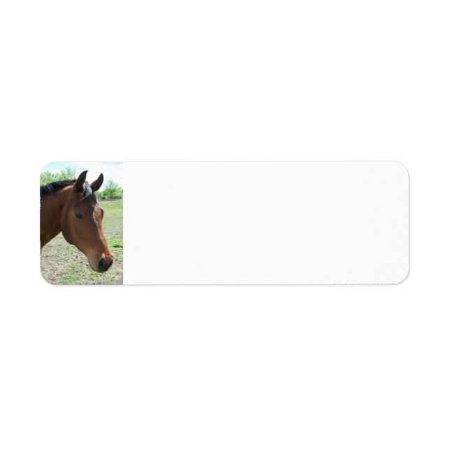 Min vän, Personligen Returadress Etikett (Framsidan)